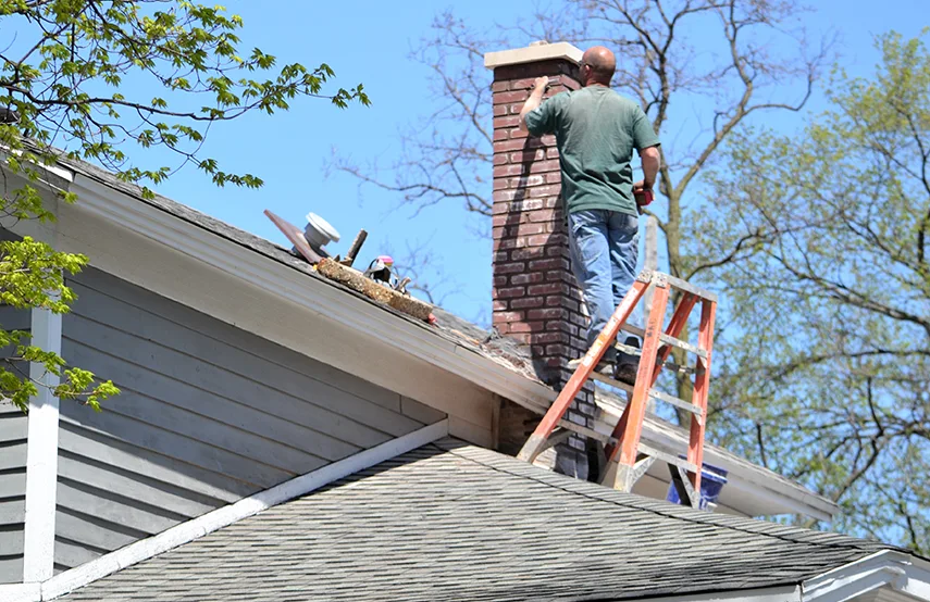 Chimney & Fireplace Inspections Services in Lakeside, CA